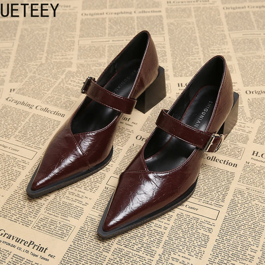 Designer Vintage Pointed Toe Women Mary Jane Shoes Fashion Shallow Buckle Shoes Spring Ladies Elegant Dress Thick Heel Shoes